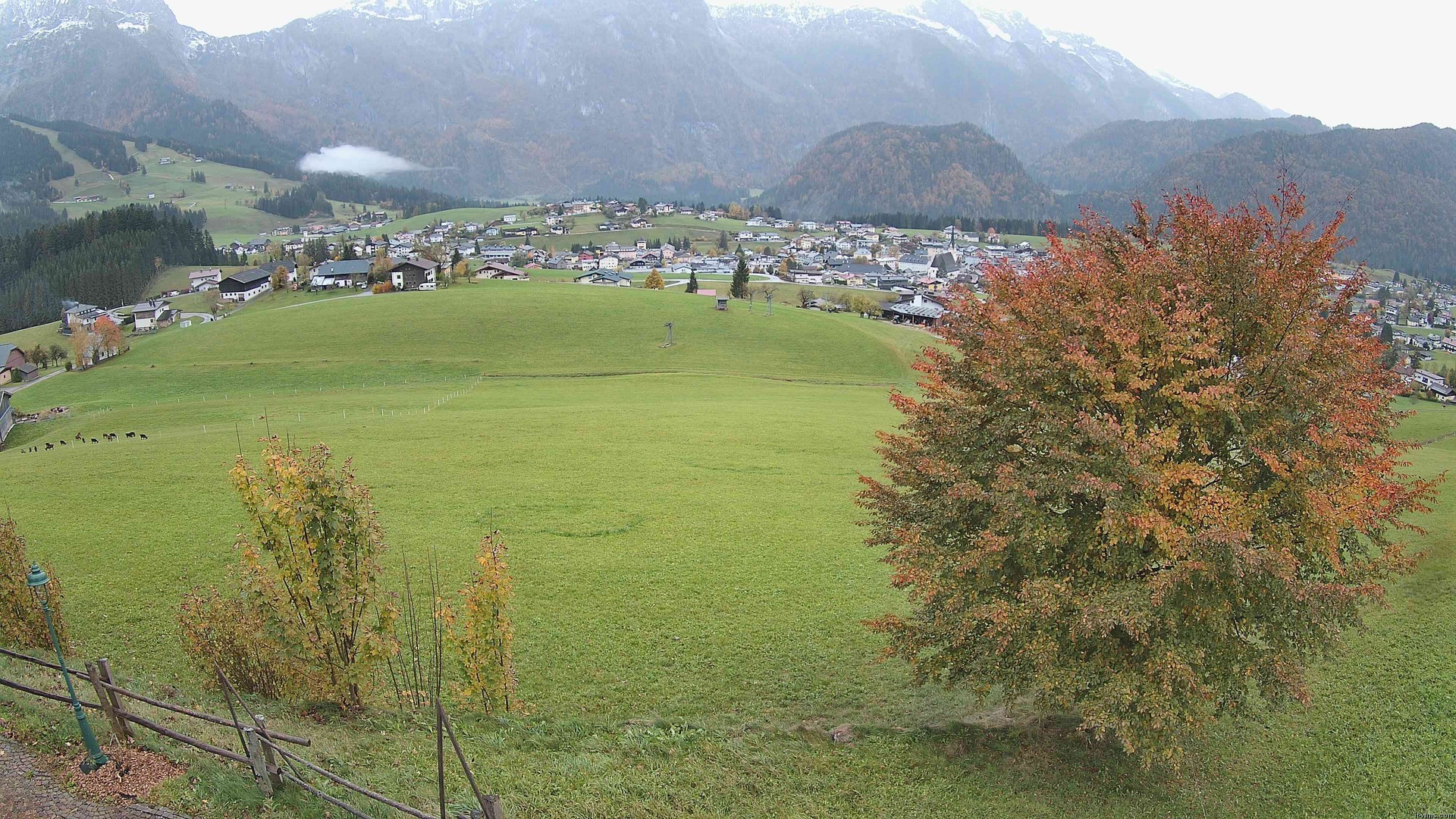 Archiv Foto Webcam Abtenau: Ausblick vom Gasthaus zur Sonnleitn