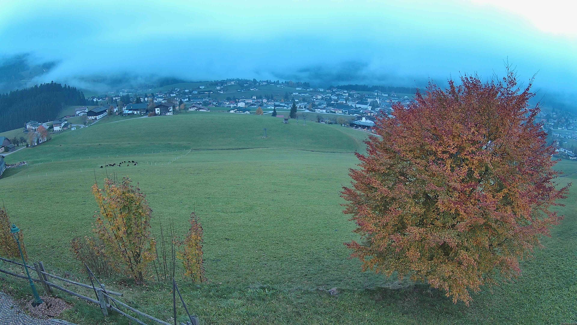 Archiv Foto Webcam Abtenau: Ausblick vom Gasthaus zur Sonnleitn