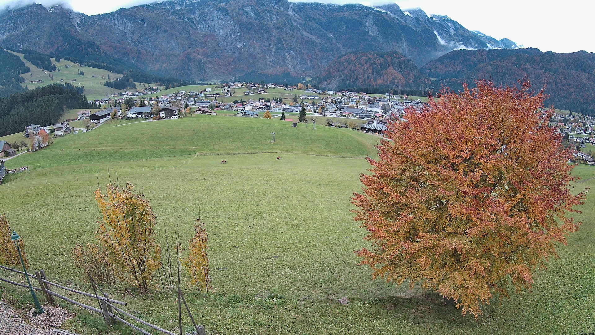 Archiv Foto Webcam Abtenau: Ausblick vom Gasthaus zur Sonnleitn