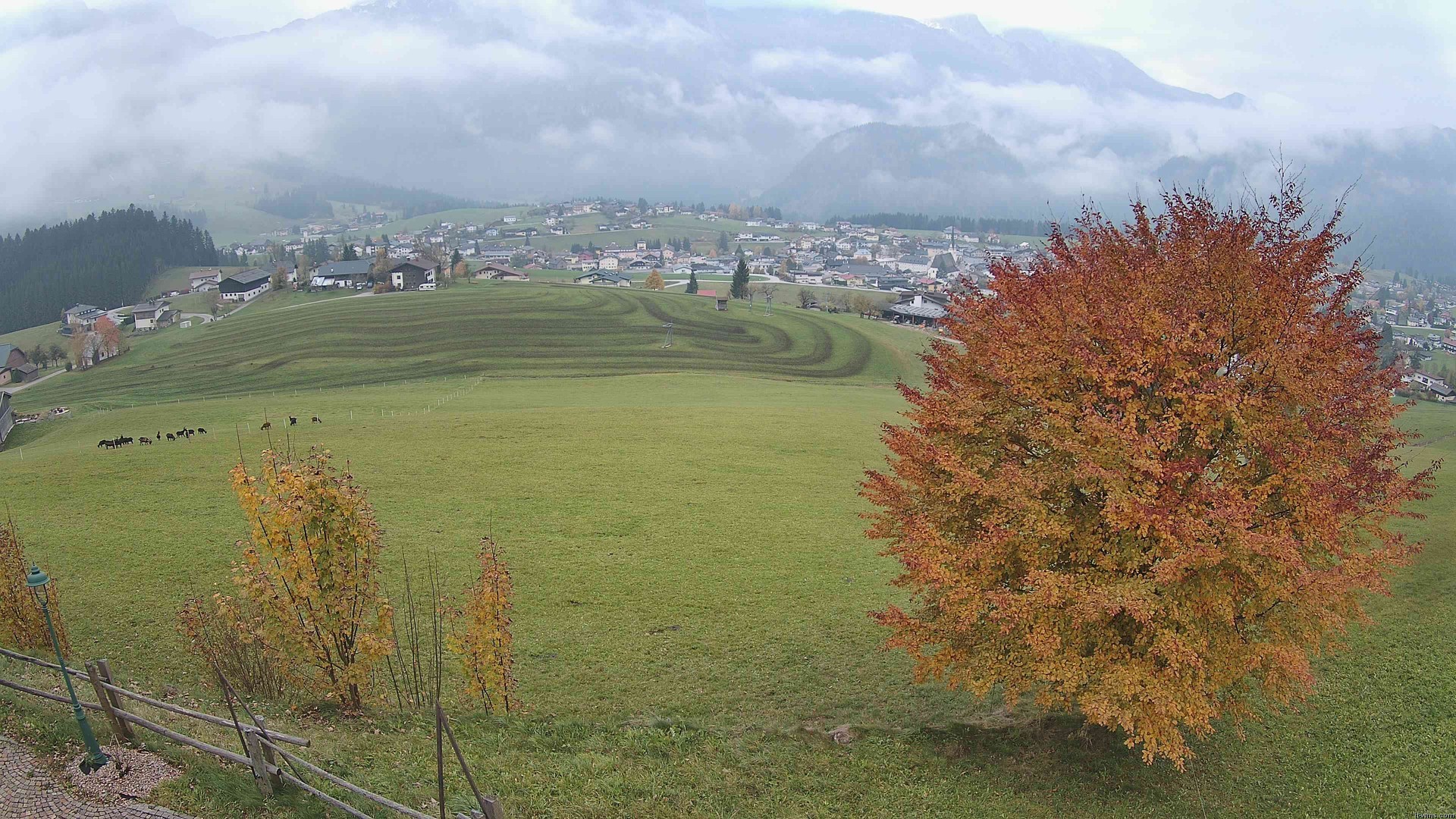 Archiv Foto Webcam Abtenau: Ausblick vom Gasthaus zur Sonnleitn