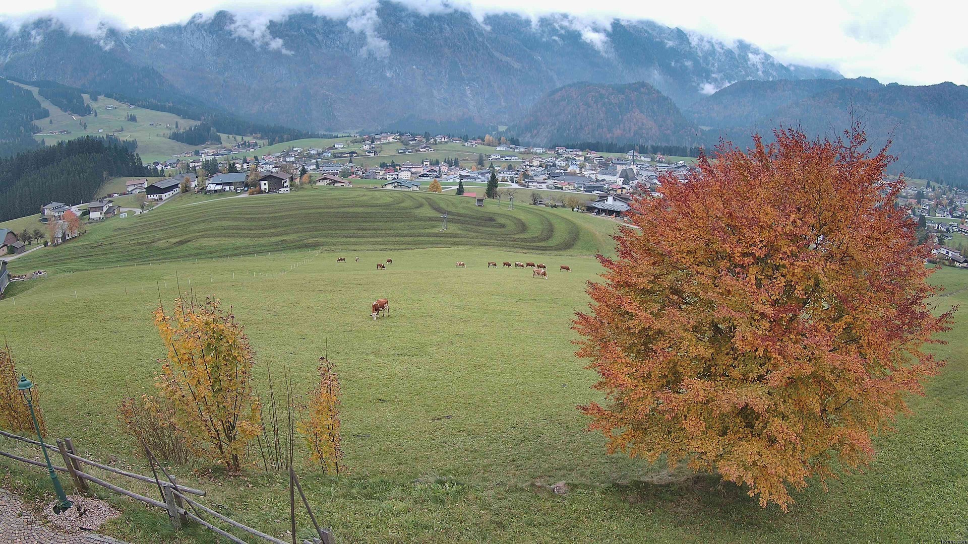 Archiv Foto Webcam Abtenau: Ausblick vom Gasthaus zur Sonnleitn