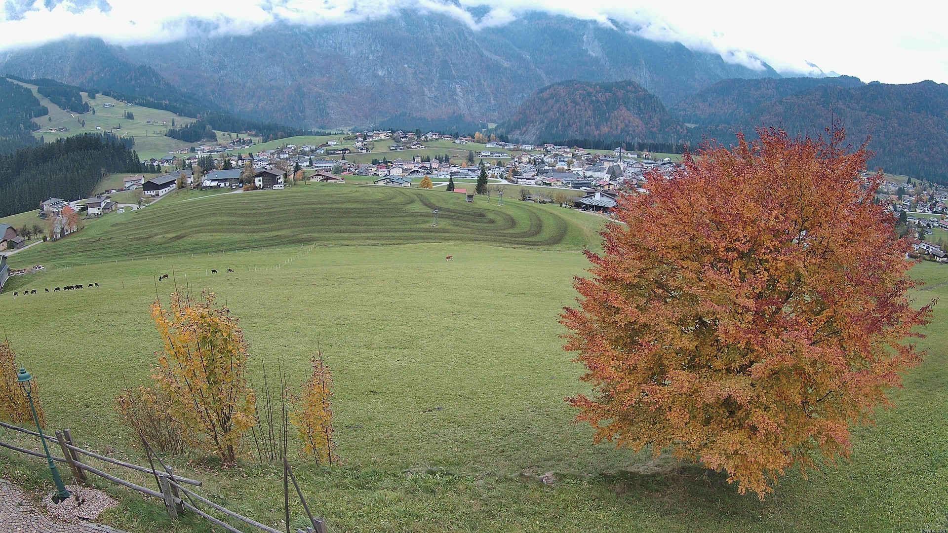 Archiv Foto Webcam Abtenau: Ausblick vom Gasthaus zur Sonnleitn