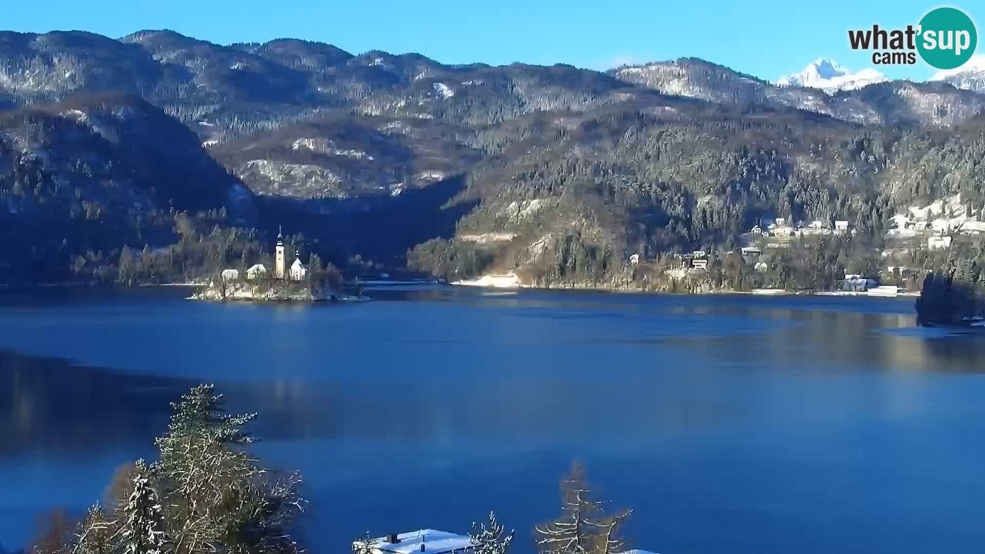 Archiv Foto Webcam Blick auf den Bleder See in Slowenien