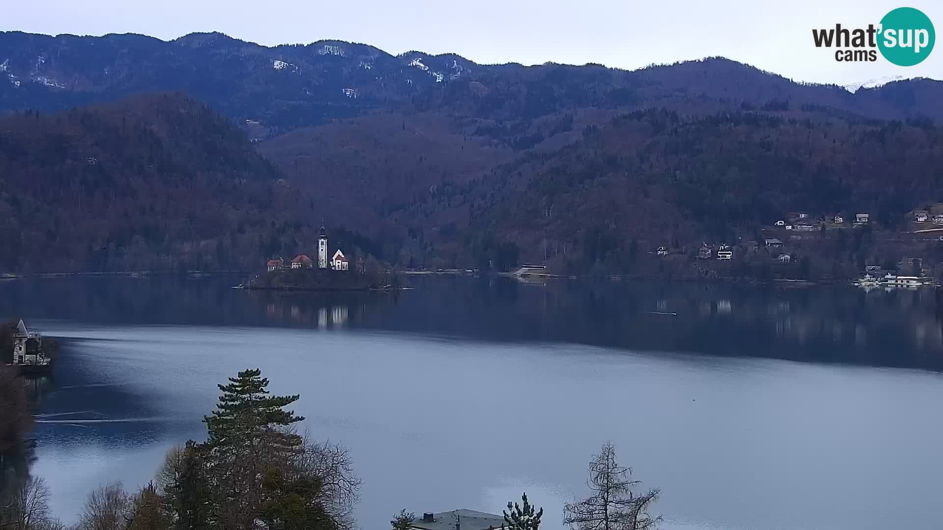 Archiv Foto Webcam Blick auf den Bleder See in Slowenien