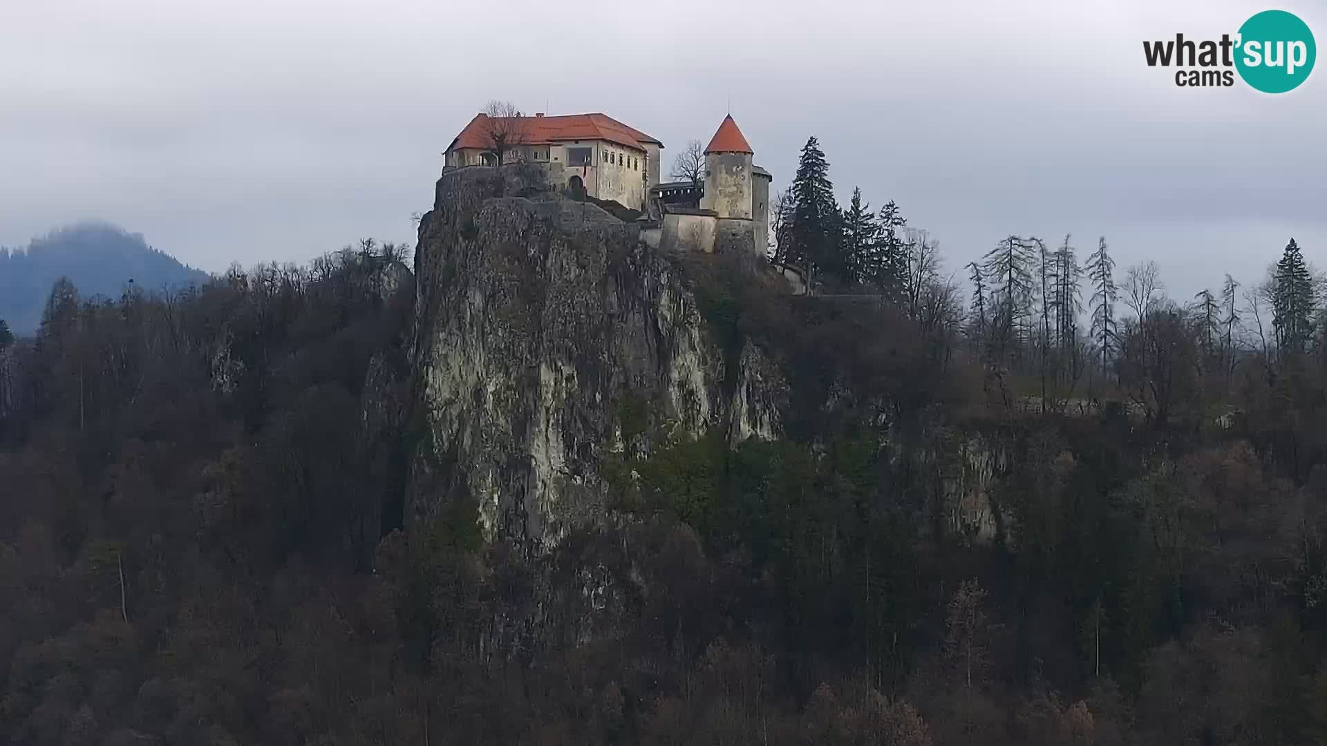 Archiv Foto Webcam Blick auf den Bleder See in Slowenien