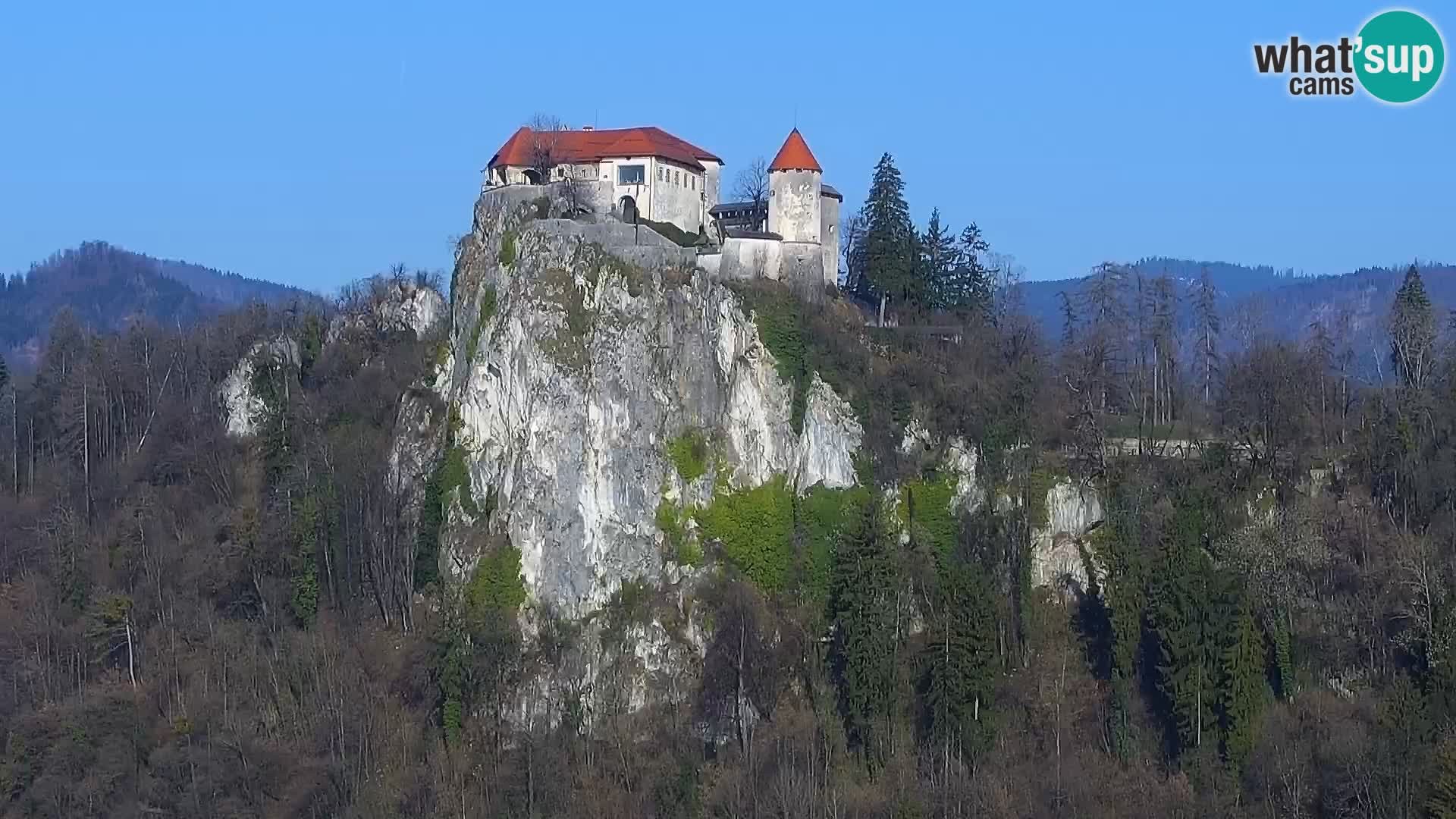 Archived image Webcam View of Lake Bled - Slovenia