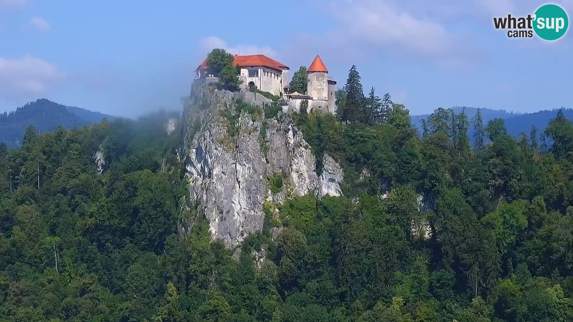 Archiv Foto Webcam Blick auf den Bleder See in Slowenien