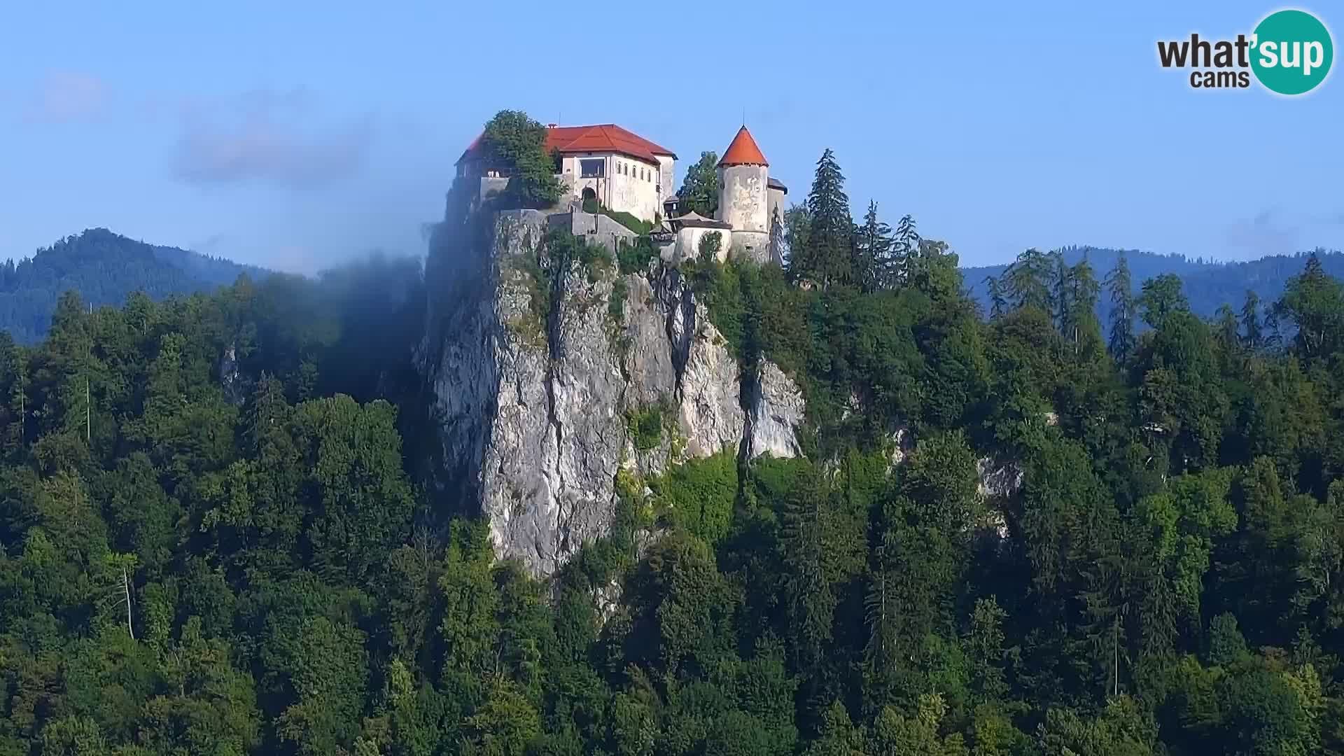 Archiv Foto Webcam Blick auf den Bleder See in Slowenien