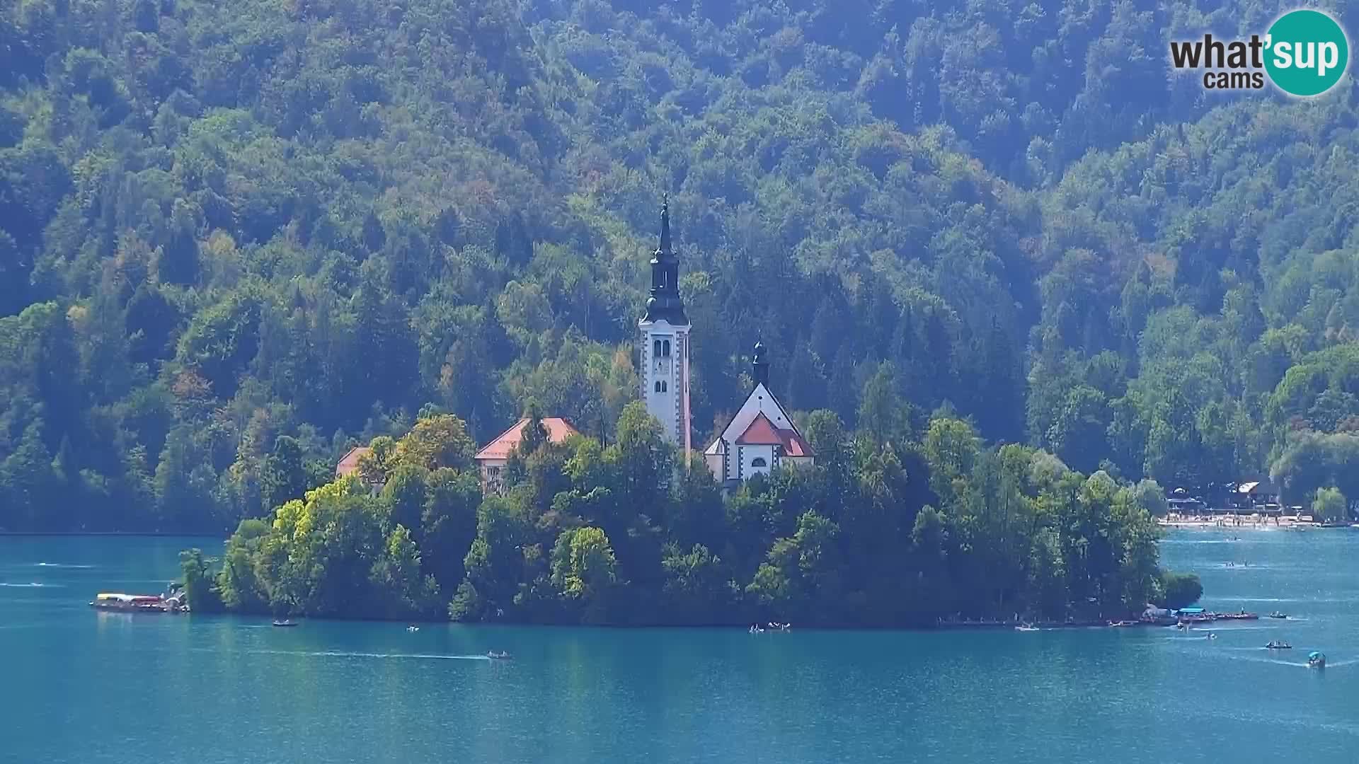 Archiv Foto Webcam Blick auf den Bleder See in Slowenien