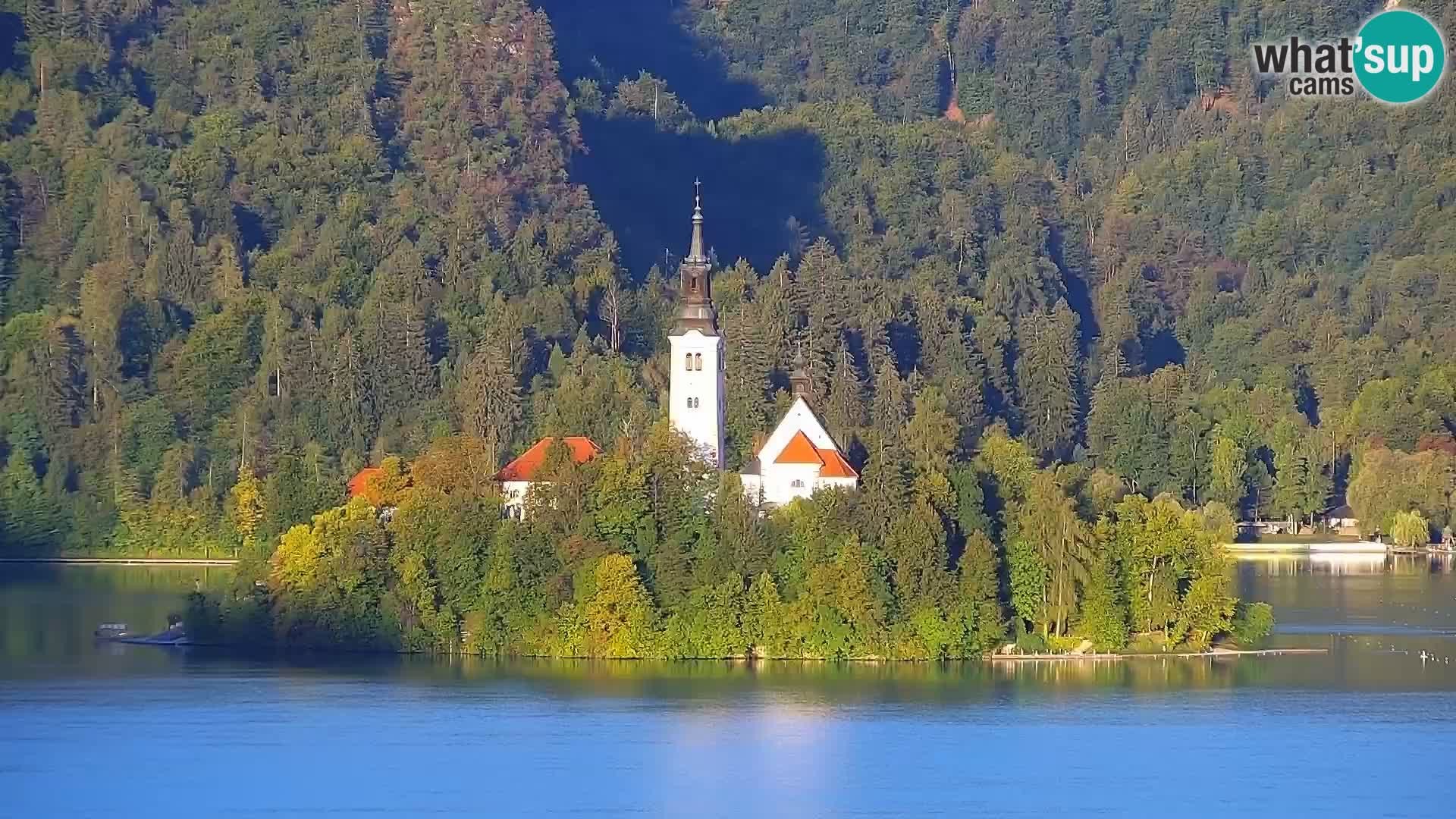 Archiv Foto Webcam Blick auf den Bleder See in Slowenien
