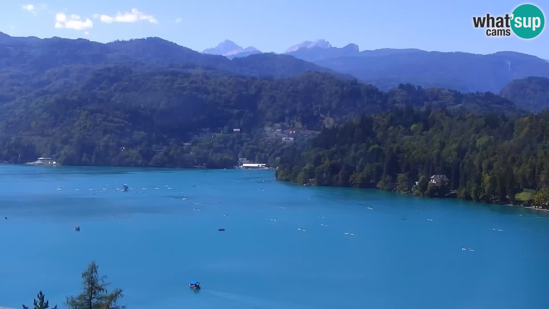 Archiv Foto Webcam Blick auf den Bleder See in Slowenien