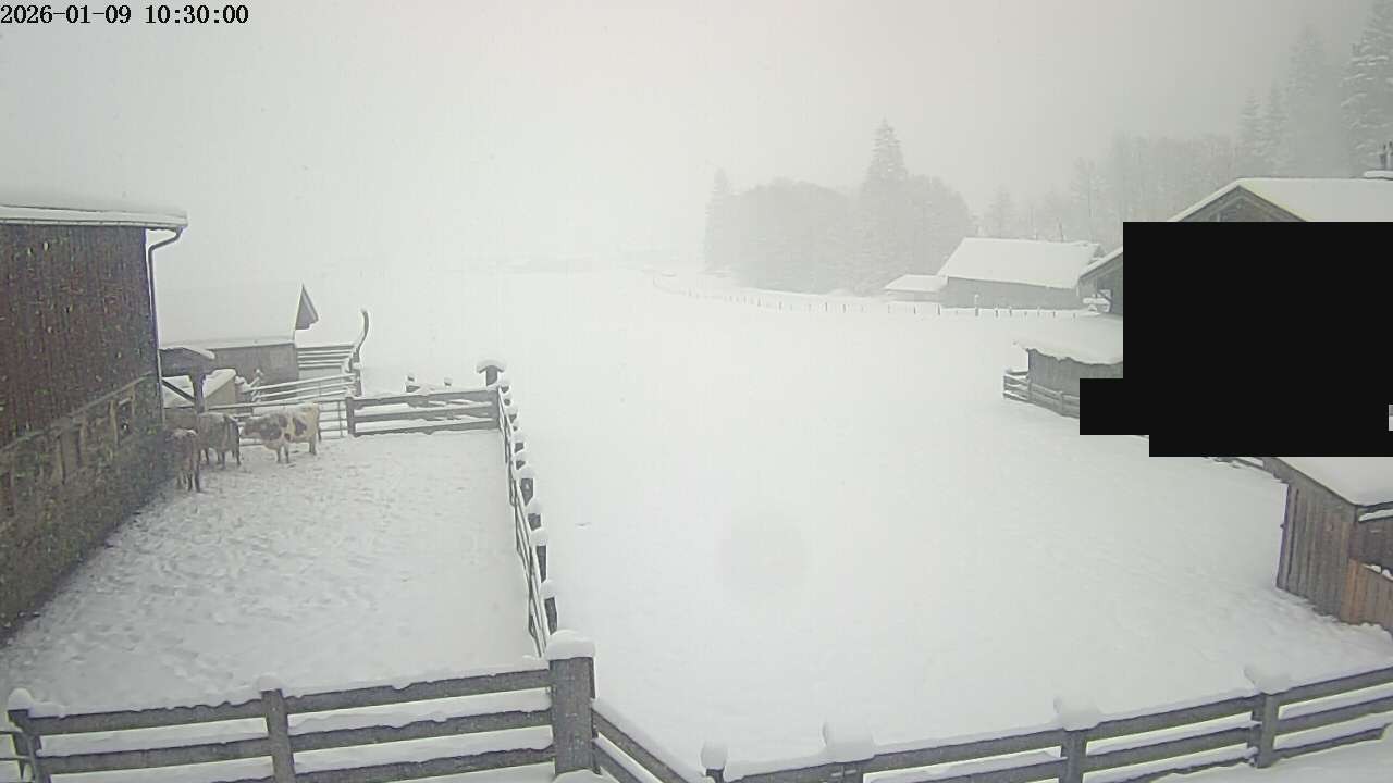Archiv Foto Webcam Raurisertal, Salzburger Land