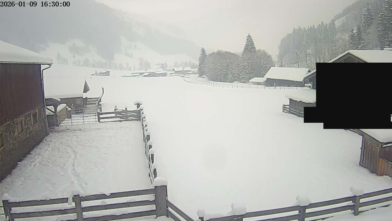 Archiv Foto Webcam Raurisertal, Salzburger Land