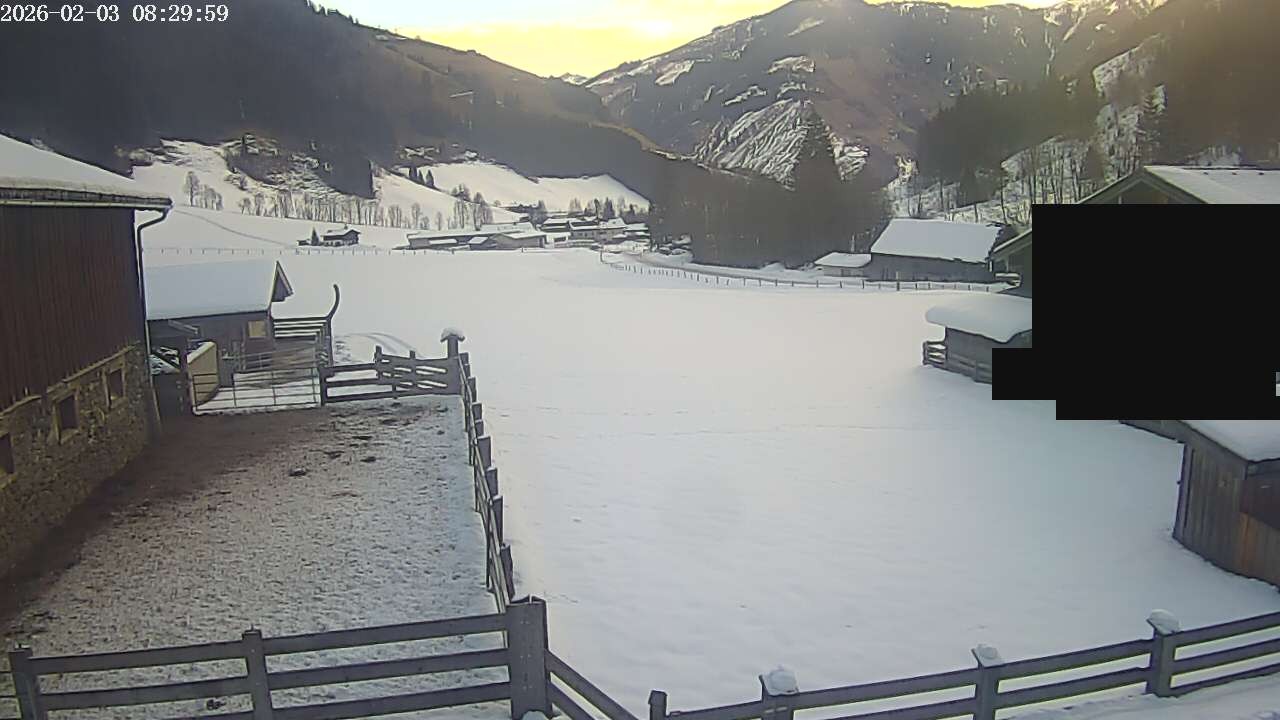 Archiv Foto Webcam Raurisertal, Salzburger Land
