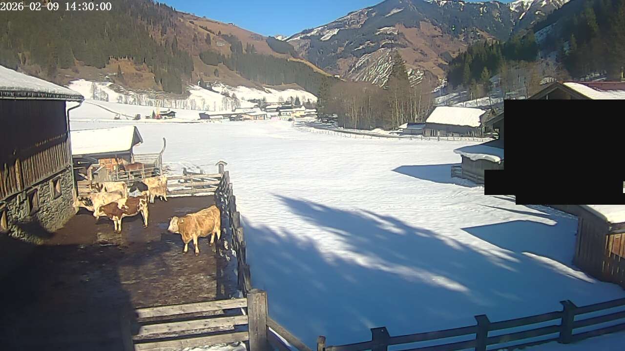 Archiv Foto Webcam Raurisertal, Salzburger Land
