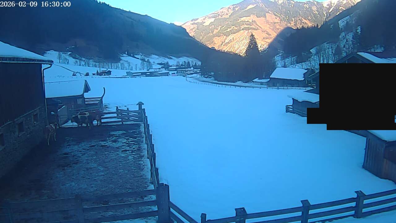 Archiv Foto Webcam Raurisertal, Salzburger Land
