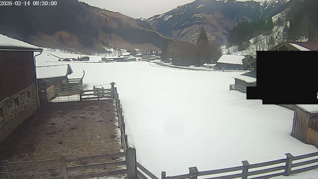Archiv Foto Webcam Raurisertal, Salzburger Land