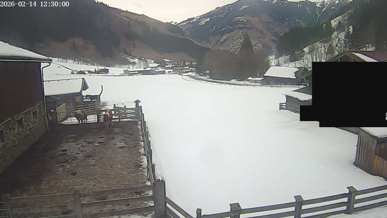 Archiv Foto Webcam Raurisertal, Salzburger Land