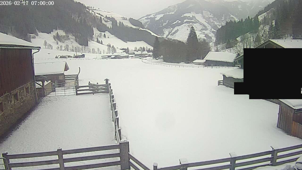 Archiv Foto Webcam Raurisertal, Salzburger Land