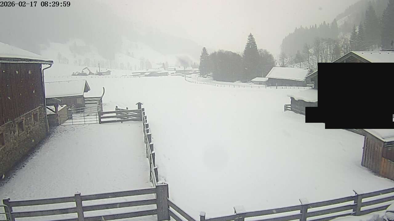 Archiv Foto Webcam Raurisertal, Salzburger Land