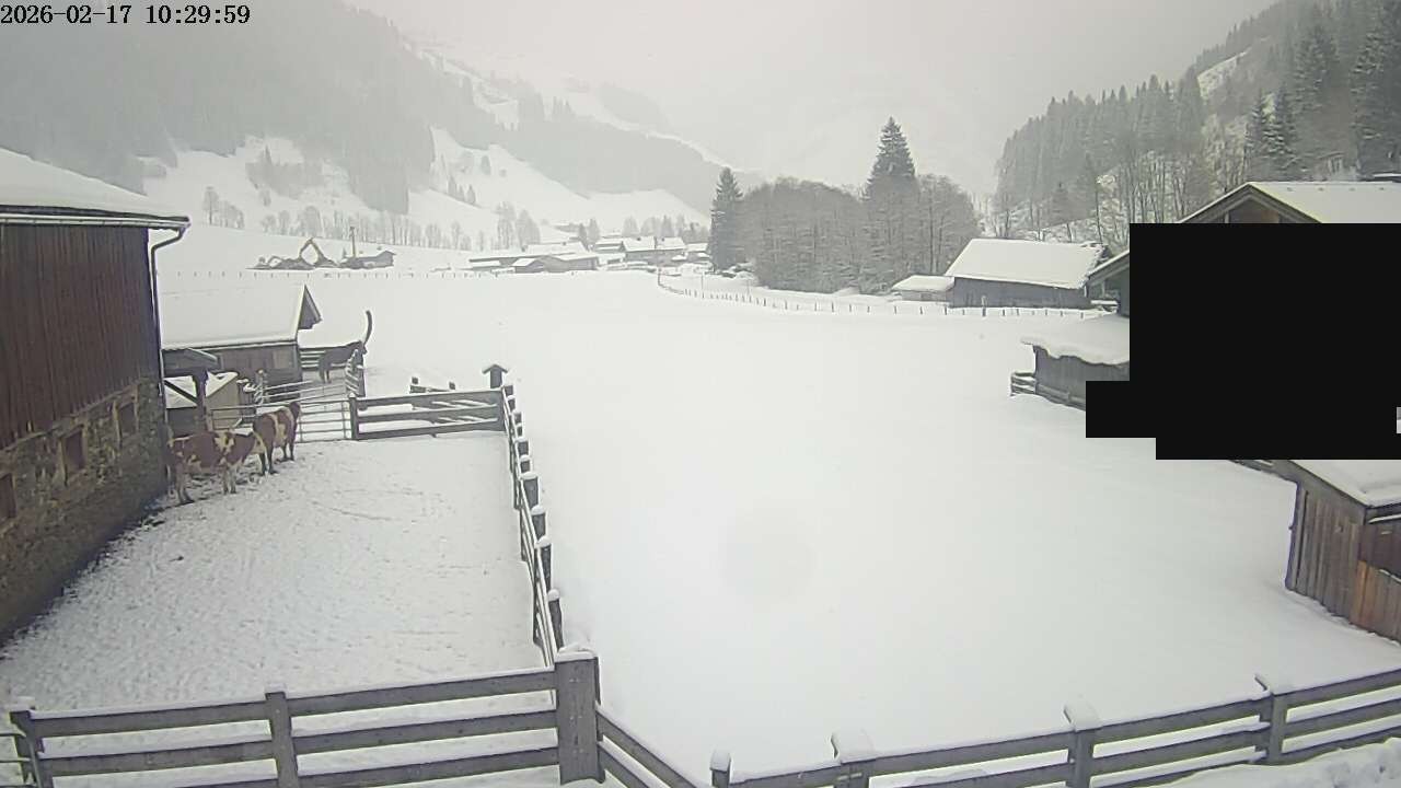 Archiv Foto Webcam Raurisertal, Salzburger Land