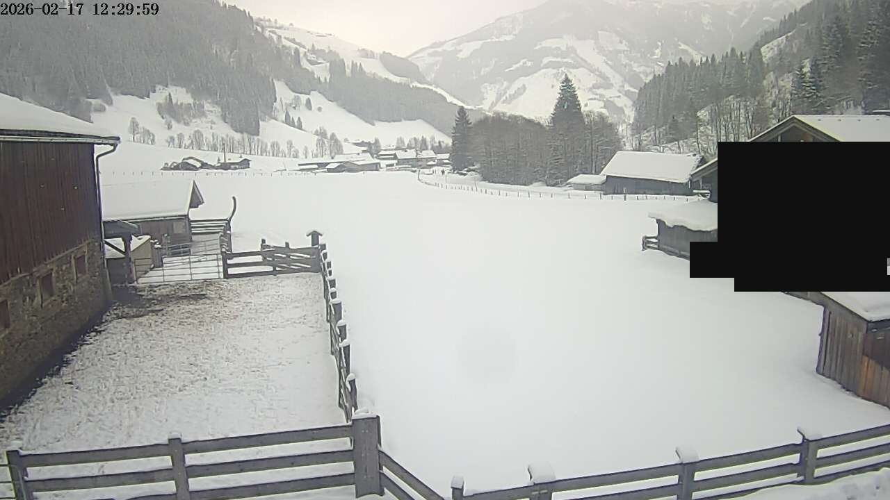Archiv Foto Webcam Raurisertal, Salzburger Land