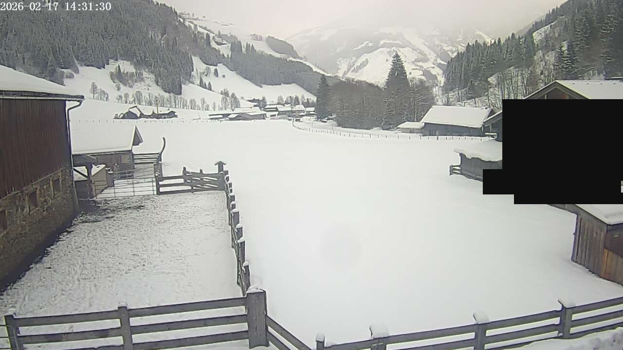 Archiv Foto Webcam Raurisertal, Salzburger Land