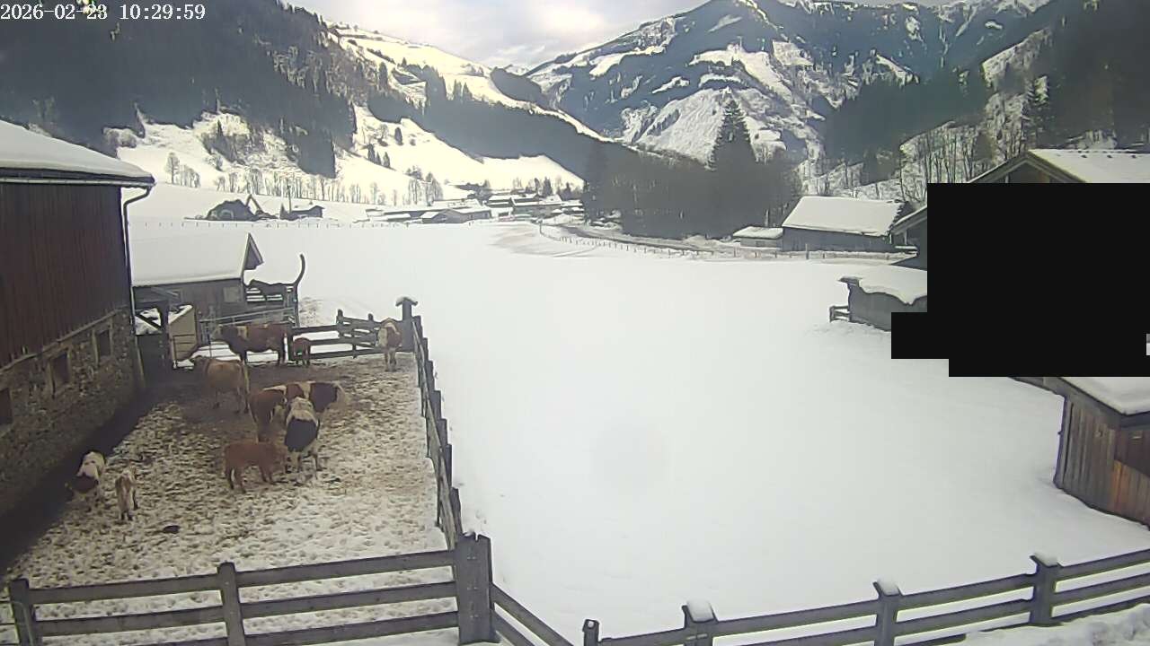 Archiv Foto Webcam Raurisertal, Salzburger Land