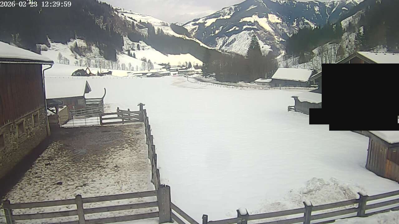 Archiv Foto Webcam Raurisertal, Salzburger Land