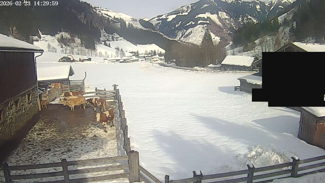 Archiv Foto Webcam Raurisertal, Salzburger Land