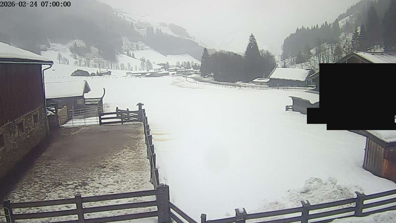 Archiv Foto Webcam Raurisertal, Salzburger Land