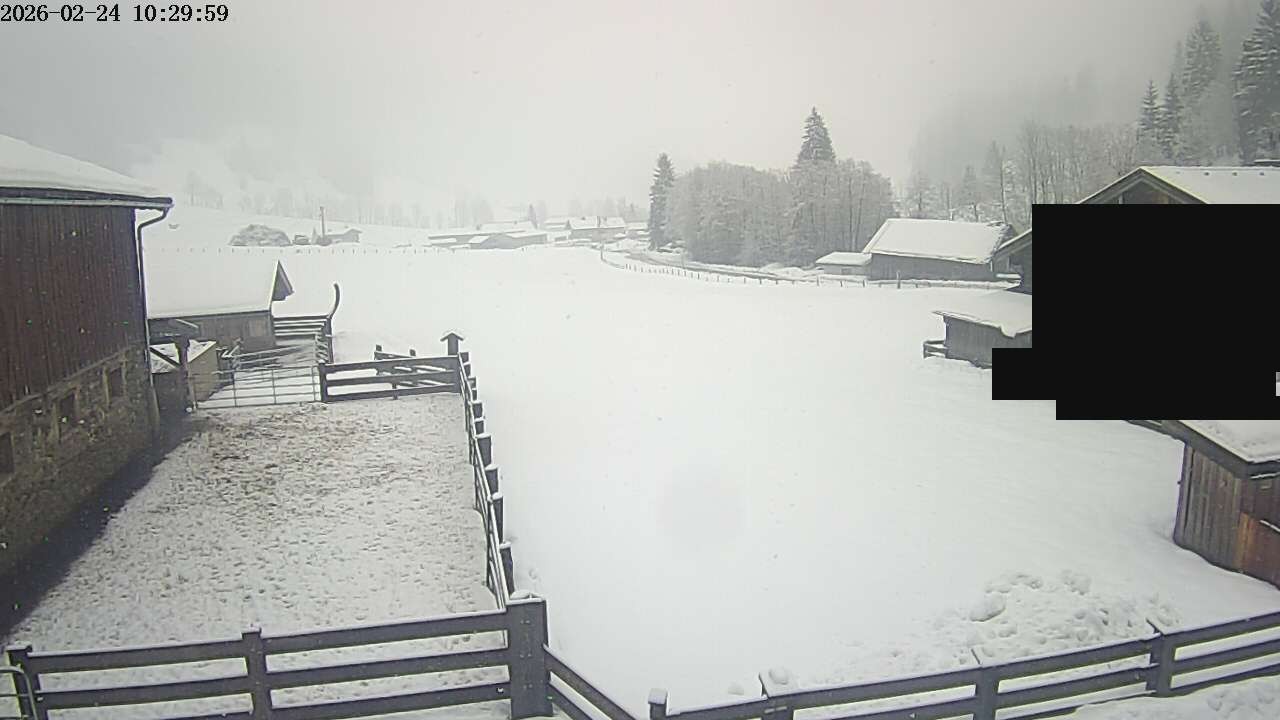Archiv Foto Webcam Raurisertal, Salzburger Land