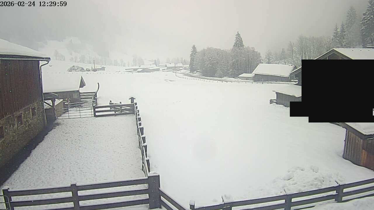 Archiv Foto Webcam Raurisertal, Salzburger Land