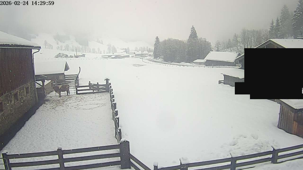 Archiv Foto Webcam Raurisertal, Salzburger Land