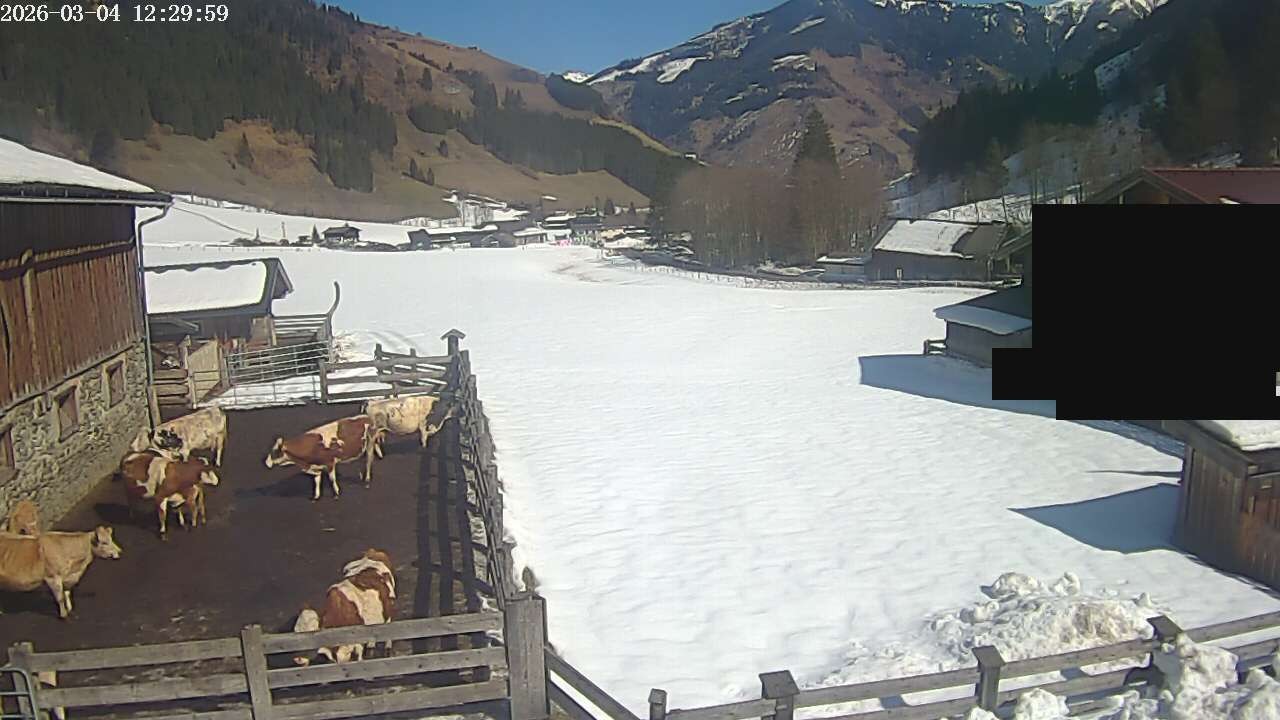 Archived image Webcam Rauris, Austria