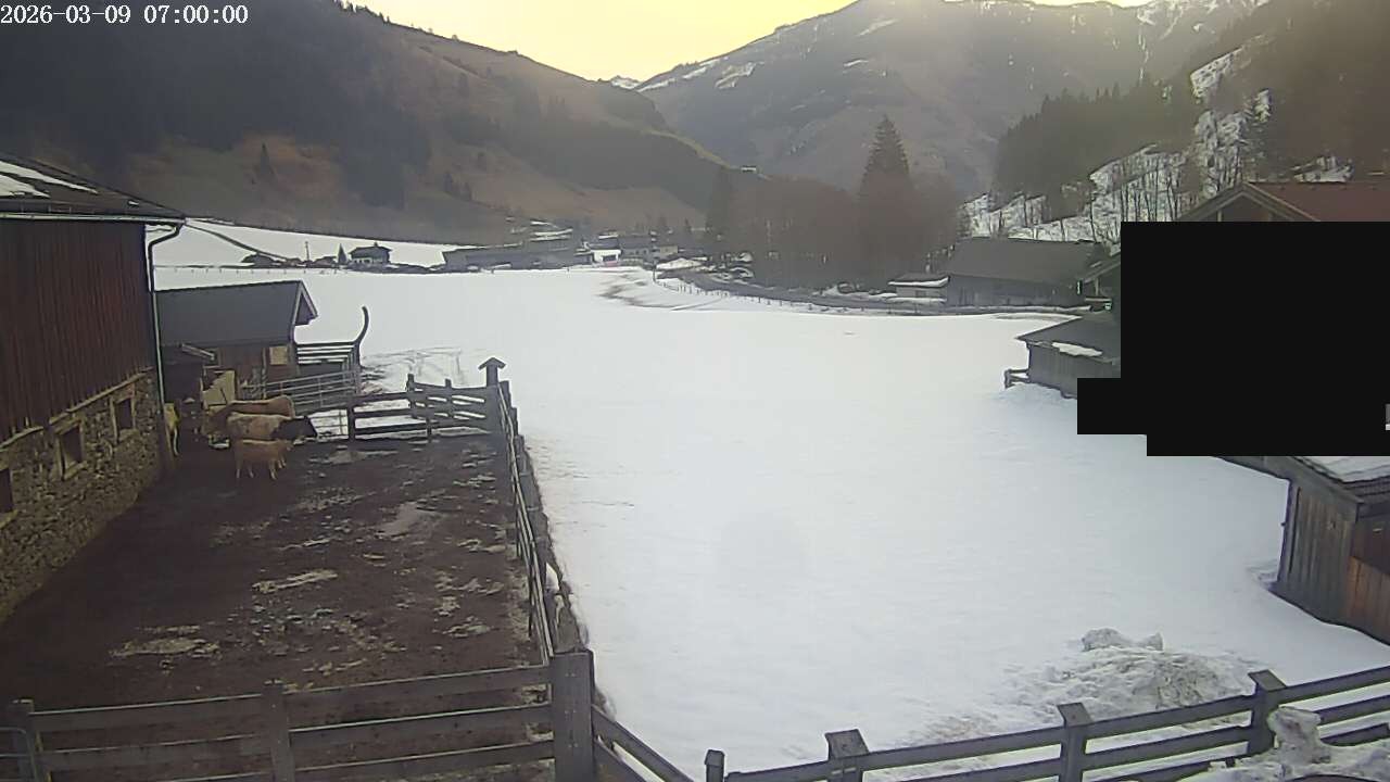 Archiv Foto Webcam Raurisertal, Salzburger Land