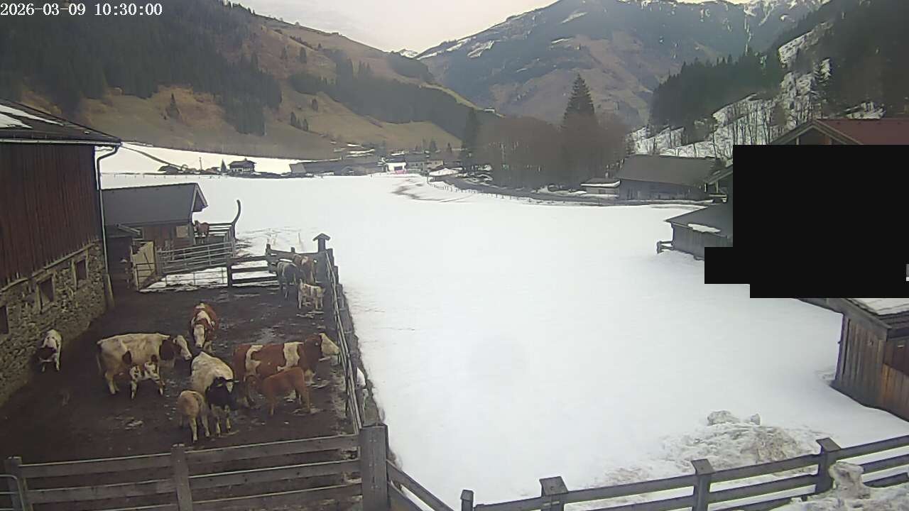 Archiv Foto Webcam Raurisertal, Salzburger Land