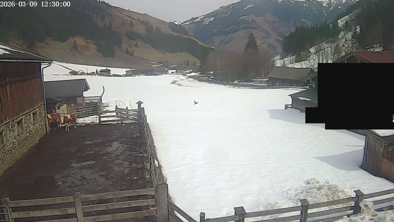 Archiv Foto Webcam Raurisertal, Salzburger Land