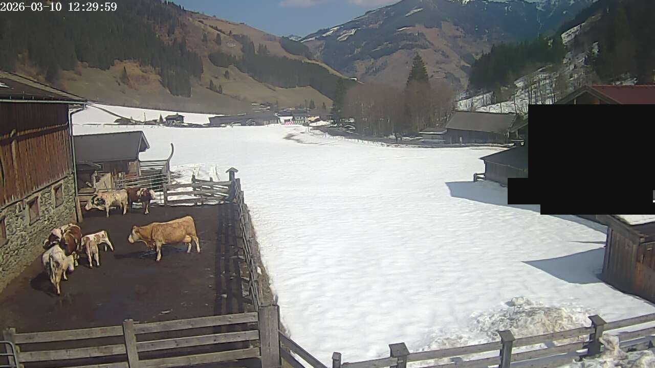Archiv Foto Webcam Raurisertal, Salzburger Land