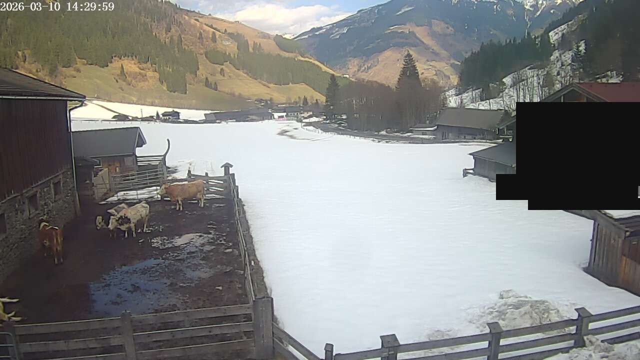 Archiv Foto Webcam Raurisertal, Salzburger Land