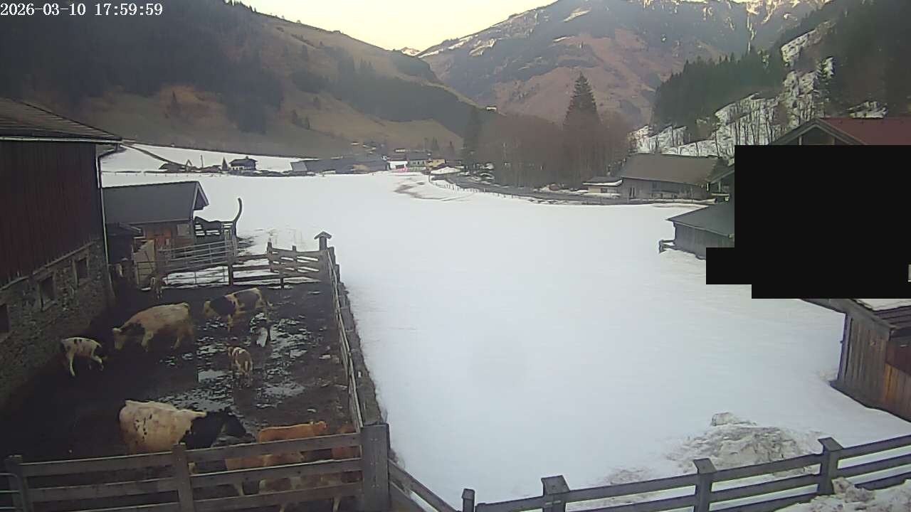 Archiv Foto Webcam Raurisertal, Salzburger Land