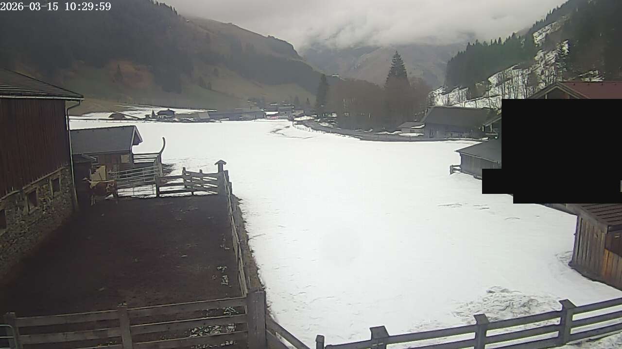 Archiv Foto Webcam Raurisertal, Salzburger Land