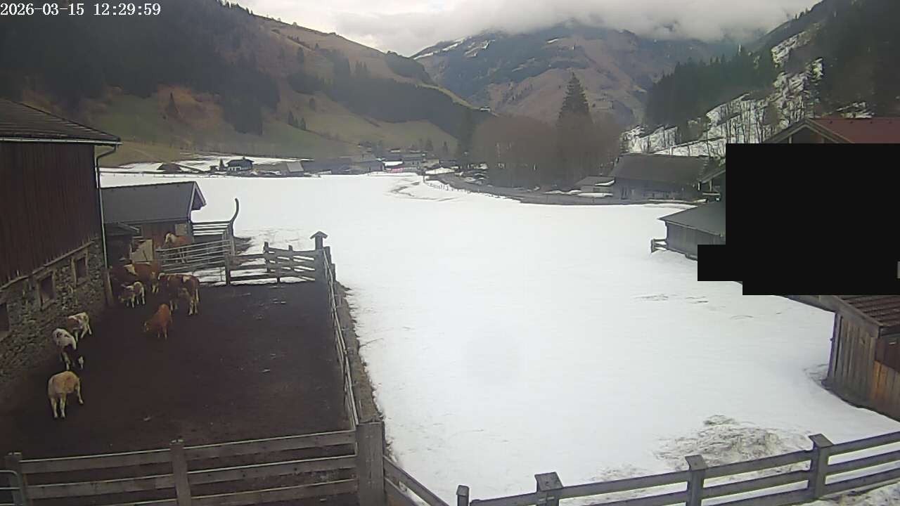 Archiv Foto Webcam Raurisertal, Salzburger Land