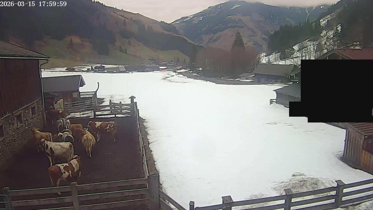 Archiv Foto Webcam Raurisertal, Salzburger Land