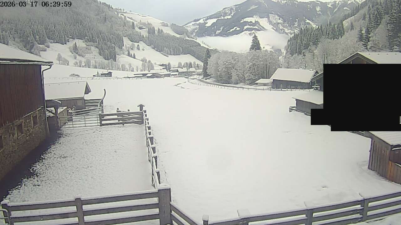 Archiv Foto Webcam Raurisertal, Salzburger Land
