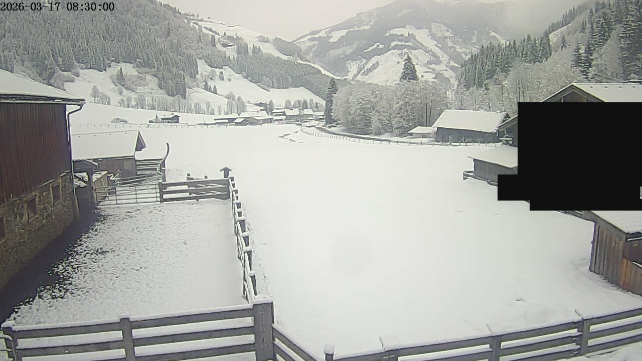 Archiv Foto Webcam Raurisertal, Salzburger Land