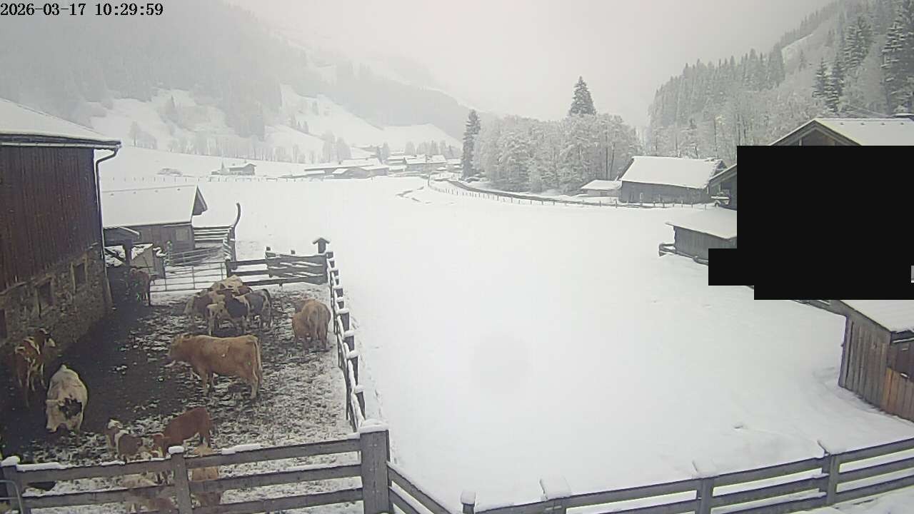 Archiv Foto Webcam Raurisertal, Salzburger Land