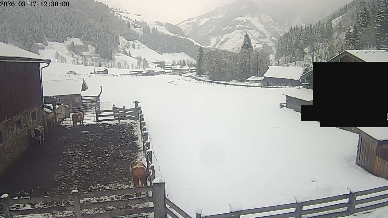 Archiv Foto Webcam Raurisertal, Salzburger Land