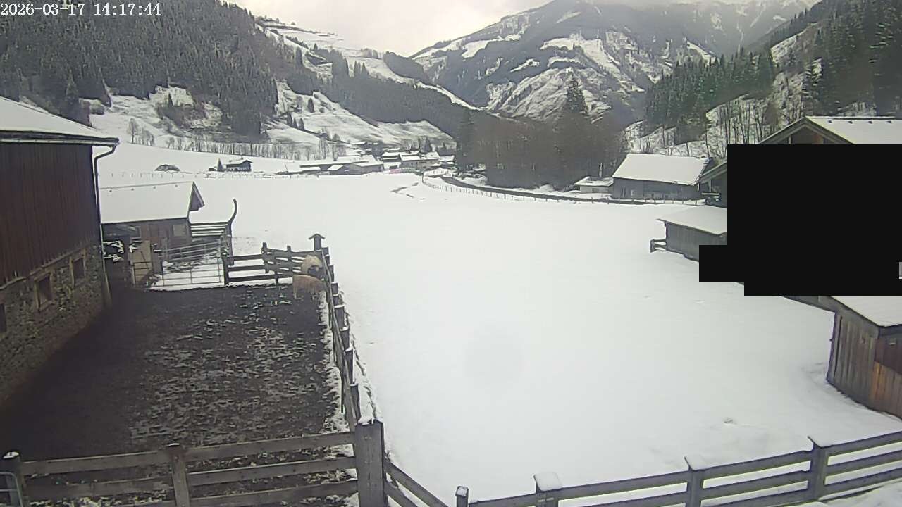 Archiv Foto Webcam Raurisertal, Salzburger Land