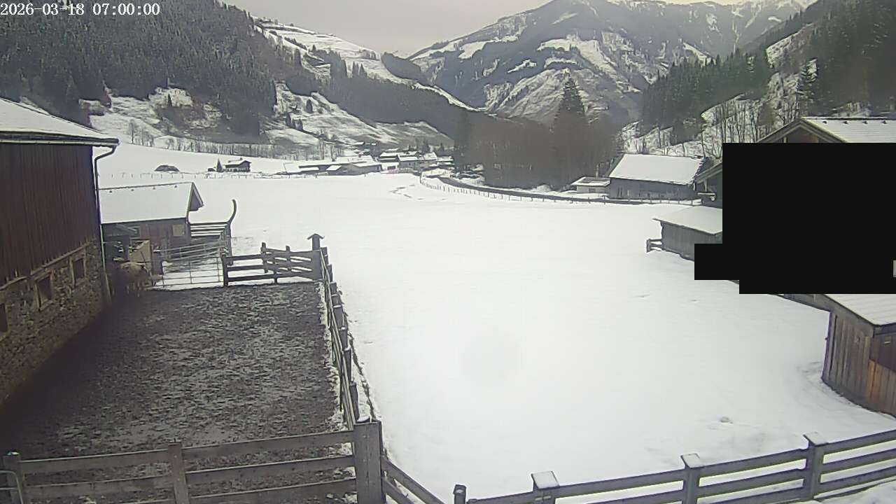 Archiv Foto Webcam Raurisertal, Salzburger Land